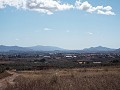 10.500m2 Grundstück mit Leitungswasser in Daft on Spain 