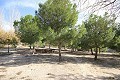 Große freistehende Villa mit Pool in der Nähe der Stadt in Elda-Petrer in Daft on Spain 