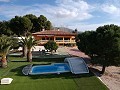 Große freistehende Villa mit Pool in der Nähe der Stadt in Elda-Petrer in Daft on Spain 