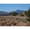 Superbe terrain avec une vue imprenable in Daft on Spain 