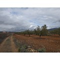Grundstück in Raspay in Daft on Spain 