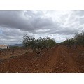 Grundstück in Raspay in Daft on Spain 