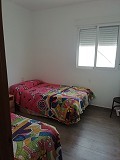 Lovely Villa in Ricabacica, Abanilla + olive grove in Partidor in Daft on Spain 