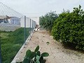 Lovely Villa in Ricabacica, Abanilla + olive grove in Partidor in Daft on Spain 