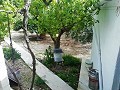 Lovely Villa in Ricabacica, Abanilla + olive grove in Partidor in Daft on Spain 