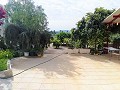 Lovely Villa in Ricabacica, Abanilla + olive grove in Partidor in Daft on Spain 