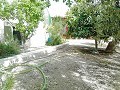 Lovely Villa in Ricabacica, Abanilla + olive grove in Partidor in Daft on Spain 
