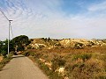 Lovely Villa in Ricabacica, Abanilla + olive grove in Partidor in Daft on Spain 