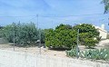 Lovely Villa in Ricabacica, Abanilla + olive grove in Partidor in Daft on Spain 