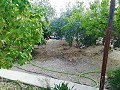 Lovely Villa in Ricabacica, Abanilla + olive grove in Partidor in Daft on Spain 