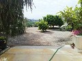Lovely Villa in Ricabacica, Abanilla + olive grove in Partidor in Daft on Spain 