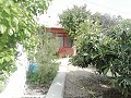 Lovely Villa in Ricabacica, Abanilla + olive grove in Partidor in Daft on Spain 