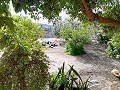 Lovely Villa in Ricabacica, Abanilla + olive grove in Partidor in Daft on Spain 