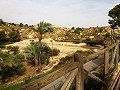 Lovely Villa in Ricabacica, Abanilla + olive grove in Partidor in Daft on Spain 