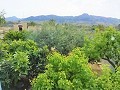 Lovely Villa in Ricabacica, Abanilla + olive grove in Partidor in Daft on Spain 