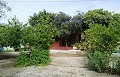 Lovely Villa in Ricabacica, Abanilla + olive grove in Partidor in Daft on Spain 