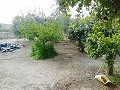 Lovely Villa in Ricabacica, Abanilla + olive grove in Partidor in Daft on Spain 