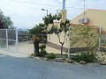 Lovely Villa in Ricabacica, Abanilla + olive grove in Partidor in Daft on Spain 