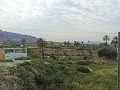 Lovely Villa in Ricabacica, Abanilla + olive grove in Partidor in Daft on Spain 