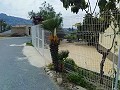 Lovely Villa in Ricabacica, Abanilla + olive grove in Partidor in Daft on Spain 
