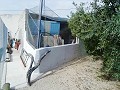 Lovely Villa in Ricabacica, Abanilla + olive grove in Partidor in Daft on Spain 