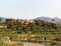 Lovely Villa in Ricabacica, Abanilla + olive grove in Partidor in Daft on Spain 