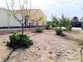 Lovely Villa in Ricabacica, Abanilla + olive grove in Partidor in Daft on Spain 