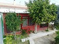 Lovely Villa in Ricabacica, Abanilla + olive grove in Partidor in Daft on Spain 