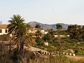 Lovely Villa in Ricabacica, Abanilla + olive grove in Partidor in Daft on Spain 