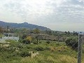 Lovely Villa in Ricabacica, Abanilla + olive grove in Partidor in Daft on Spain 