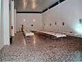 Großes Restaurant mit Veranstaltungsräumen zur Miete oder zum Kauf in Daft on Spain 