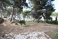 Tres casas en una parcela en Monovar in Daft on Spain 