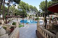 Tres casas en una parcela en Monovar in Daft on Spain 