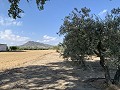 Maison à réformer à Caudete in Daft on Spain 