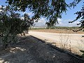 Maison à réformer à Caudete in Daft on Spain 