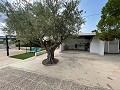 Villa met 4 slaapkamers en 2 badkamers in Daft on Spain 