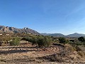 Building plots in Macisvenda in Daft on Spain 