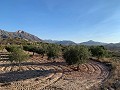 Building plots in Macisvenda in Daft on Spain 