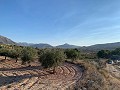 Building plots in Macisvenda in Daft on Spain 