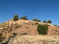 Building plots in Macisvenda in Daft on Spain 