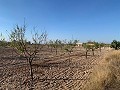 Building plot in Macisvenda in Daft on Spain 
