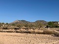 Building plot in Macisvenda in Daft on Spain 