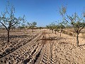 Building plot in Macisvenda in Daft on Spain 
