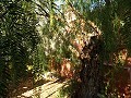 12-Bett-Haus in Mahoya, Murcia in Daft on Spain 