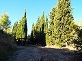 12-Bett-Haus in Mahoya, Murcia in Daft on Spain 