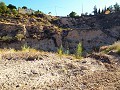 12-Bett-Haus in Mahoya, Murcia in Daft on Spain 