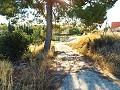 12-Bett-Haus in Mahoya, Murcia in Daft on Spain 