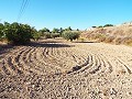 12-Bett-Haus in Mahoya, Murcia in Daft on Spain 