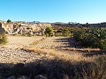 12-Bett-Haus in Mahoya, Murcia in Daft on Spain 