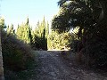 12-Bett-Haus in Mahoya, Murcia in Daft on Spain 